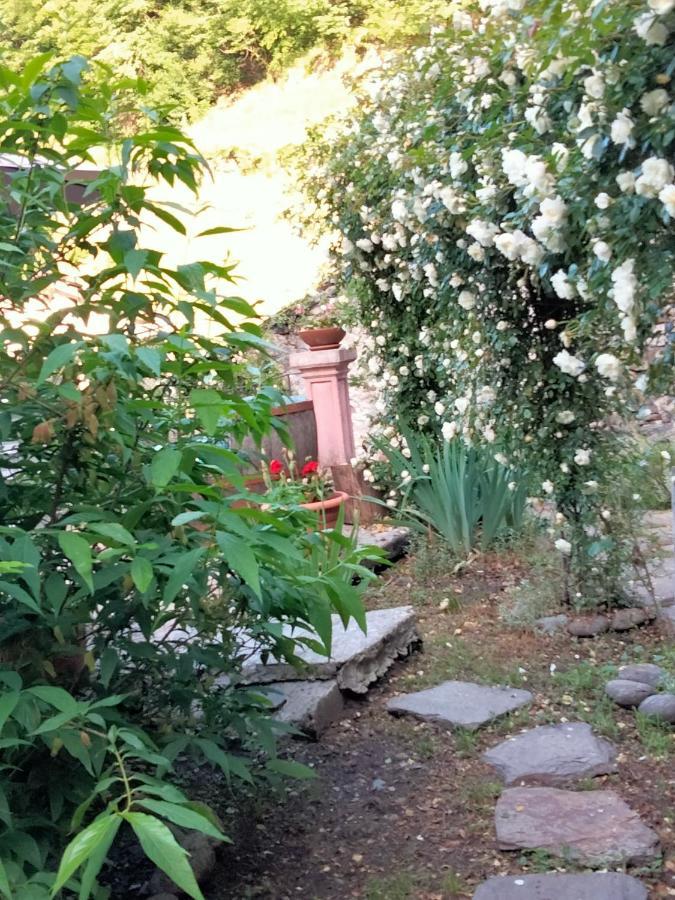 Shanty Calasca-Castiglione Εξωτερικό φωτογραφία